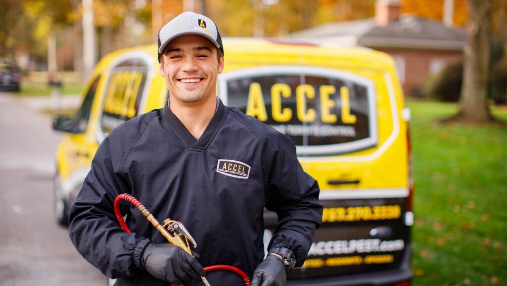 Spring Pests Are Waking Up: What Homeowners Should Know Before They See Them