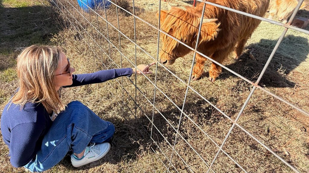 Mini Moos and Mortgages