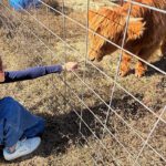 Mini Moos and Mortgages