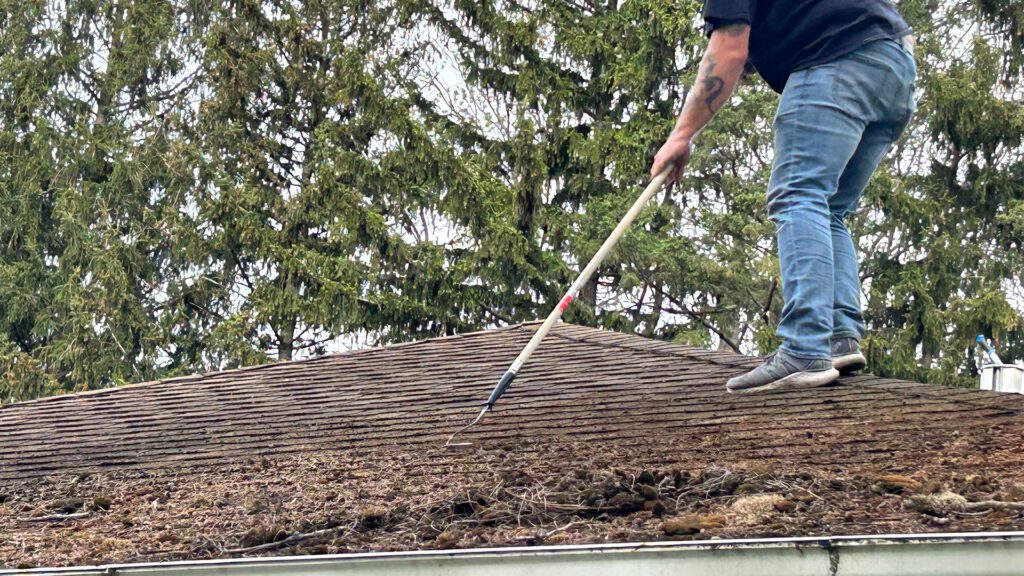 Look Up! A Seasonal Guide to Asphalt Roof Maintenance in Western New York
