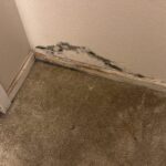 The Early Signs of Water Damage – and Why Ignoring Them Can Cost You Dearly