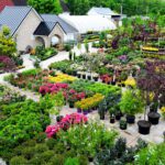 How Bloomfield Nursery Came To Be