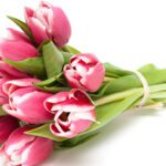 Easing Into Spring: The Season That Reminds Us How to Slow Down and Grow Up