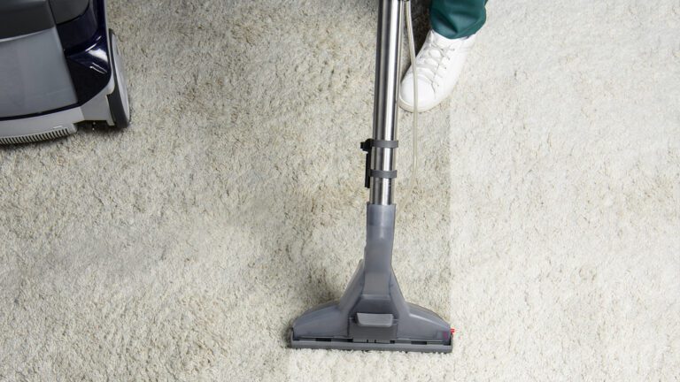The Importance of Professional Carpet Cleaning