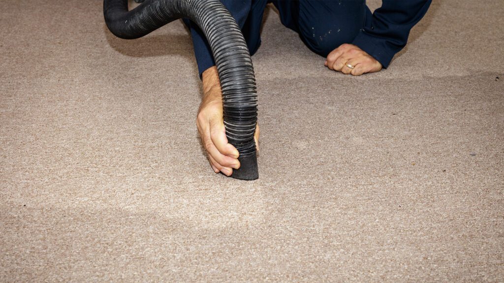 Your Water Damage Remediation Resource