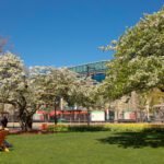 College Visits With Purpose: Making the Most of Campus Tours