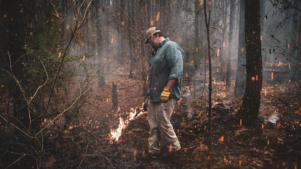 Firing Up the Habitat: How Controlled Burns Boost Land and Wildlife Development
