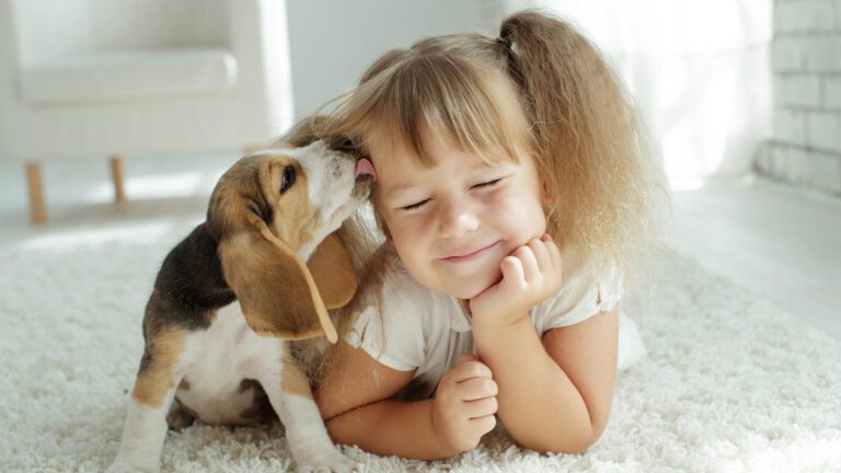 Love With Four Legs: Valentine’s Experts Who Live in Our Homes