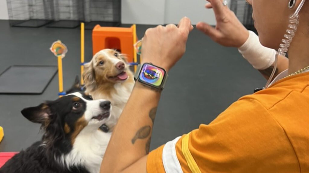 A New Year, A Better Life for You and Your Dog