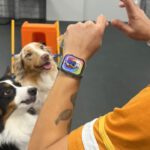 A New Year, A Better Life for You and Your Dog