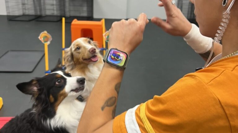 A New Year, A Better Life for You and Your Dog