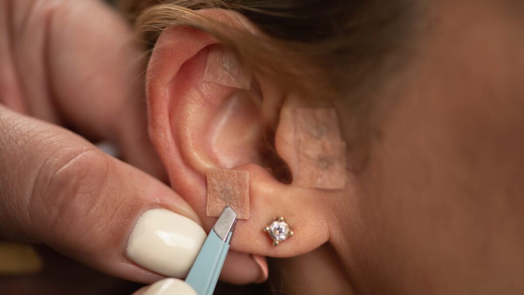 Tiny Seeds, Big Shifts