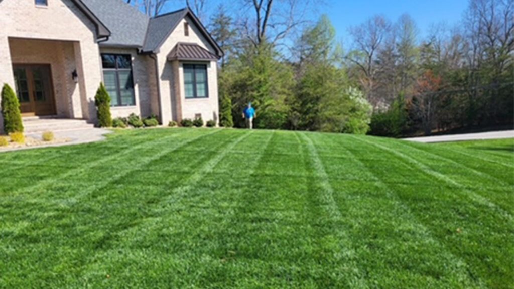 Setting the Stage for a Healthy Lawn With The Lawn Rangers