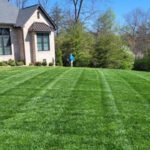Setting the Stage for a Healthy Lawn With The Lawn Rangers