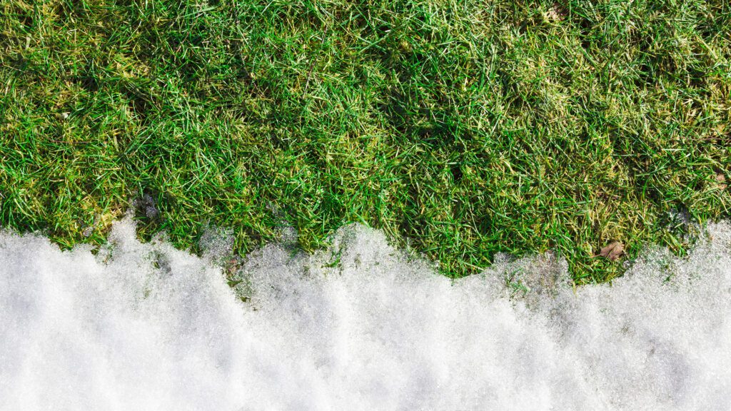 Is Your Yard Ready for Spring? What Local Families Should Check First