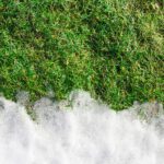 Is Your Yard Ready for Spring? What Local Families Should Check First