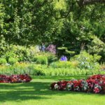Preparing Your Lawn for Spring Growth: What Homeowners Should Know