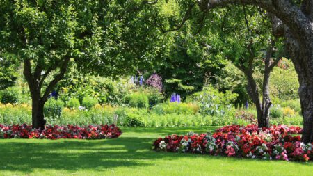 Green yard with plants, flowers and trees