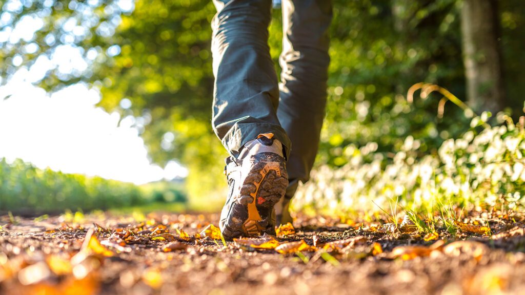 New Year, New You with Even Keel Coaching