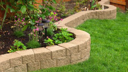 Home yard spring landscaping