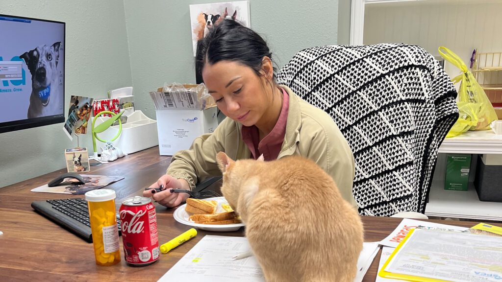 A Journey Through the Years: Harahan Veterinary Hospital