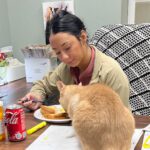 A Journey Through the Years: Harahan Veterinary Hospital