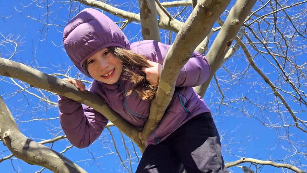 Spring Transitions and Emotional Regulation