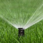 Your Spring Lawn Checklist from Brandon Landscaping, Inc.