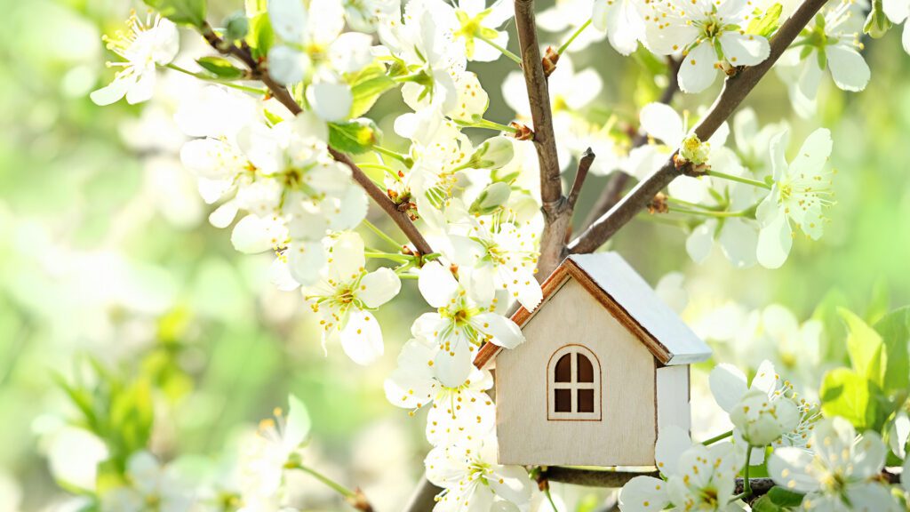 A Legacy Neighborhood Guide: The Local Places and Traditions That Make Morningside Feel Like Home