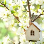 Ellensburg Real Estate: A Look Back at 2025 and 2026 Predictions