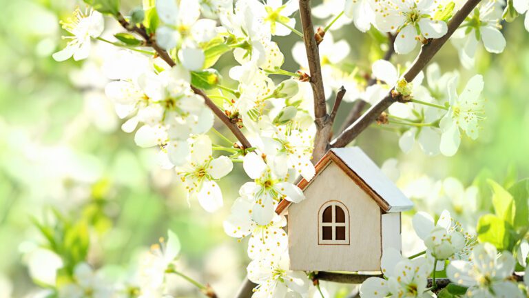 Spring is Sprung… In the Real Estate World!