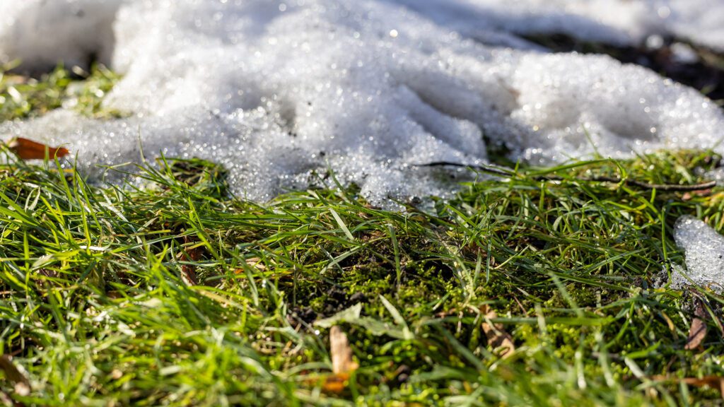 Spring Yard Prep 101: Clean Up, Refresh, Grow