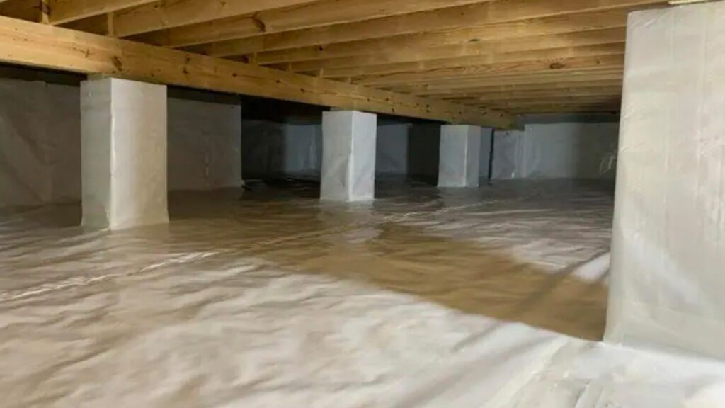 Moisture Mitigation Is a Must