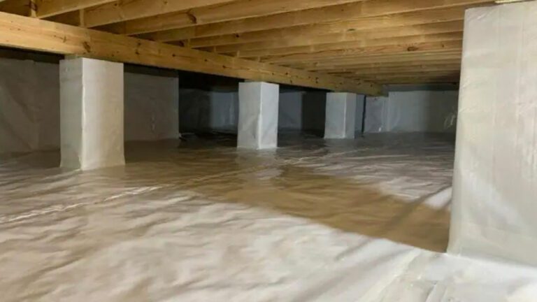 Moisture Mitigation Is a Must