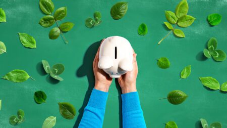 Person holding piggy bank with green leaves