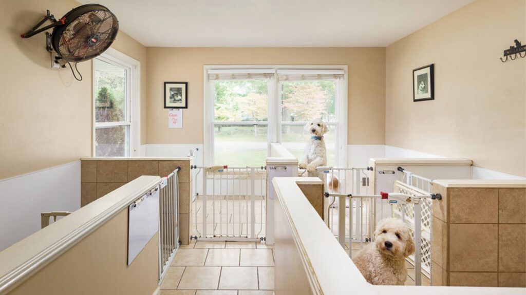 3 Tips for a Perfect Spring Break Boarding Experience