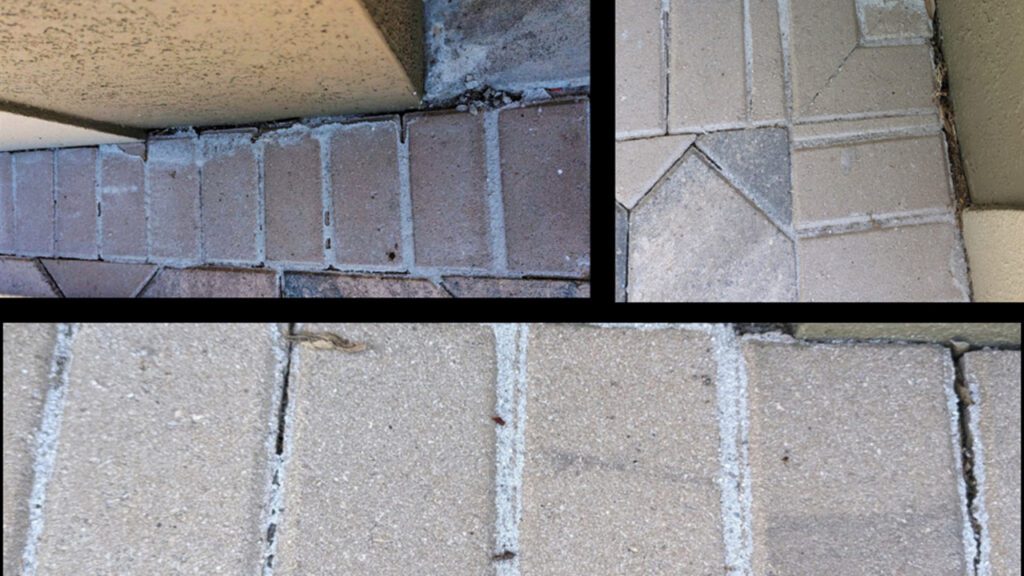 The Disadvantages of Using Polymeric Sand When Sealing Your Pavers