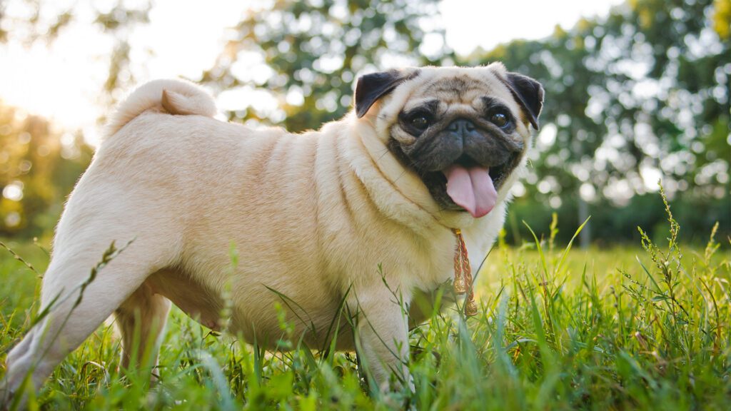 When Home Is the Best Exam Room