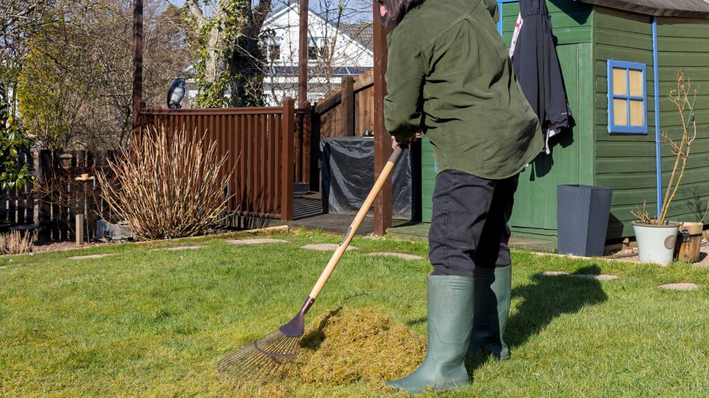 Spring Starts Now: Your Yard’s Fresh Start Begins Before the Blooms