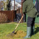 Spring Starts Now: Your Yard’s Fresh Start Begins Before the Blooms