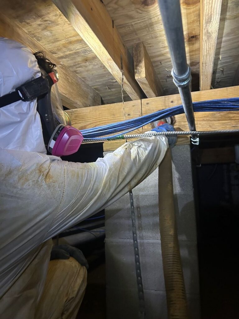 Understanding Microbial Growth: What Every Property Owner Should Know