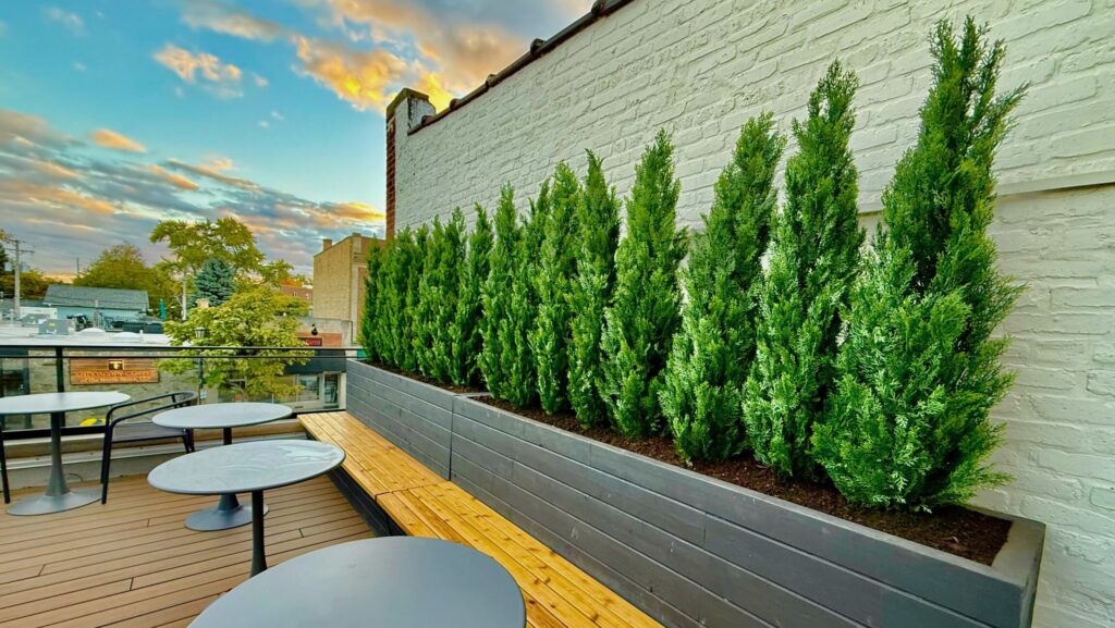 The Easiest Way to Bring Spring Greenery Home — Without the Maintenance