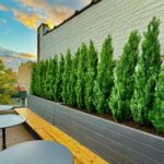 The Easiest Way to Bring Spring Greenery Home — Without the Maintenance