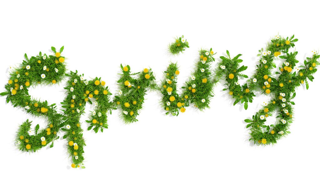 Spring Clean-Ups: Setting the Stage for a Healthy Warrenton Landscape