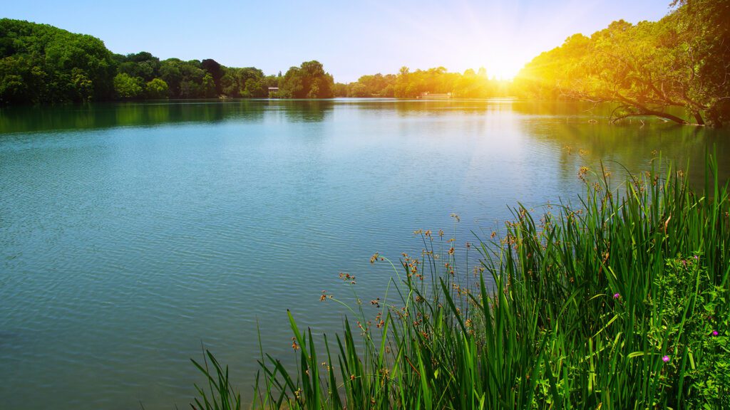 New Year’s Resolutions for Lakefront Property Owners