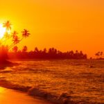 Wake Up Somewhere Wonderful: Your Ultimate Guide to Winter Escapes  