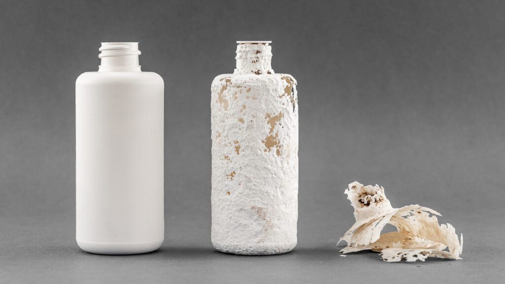 What Does Sustainability in Skincare Really Mean, and Why It Matters for Our Planet