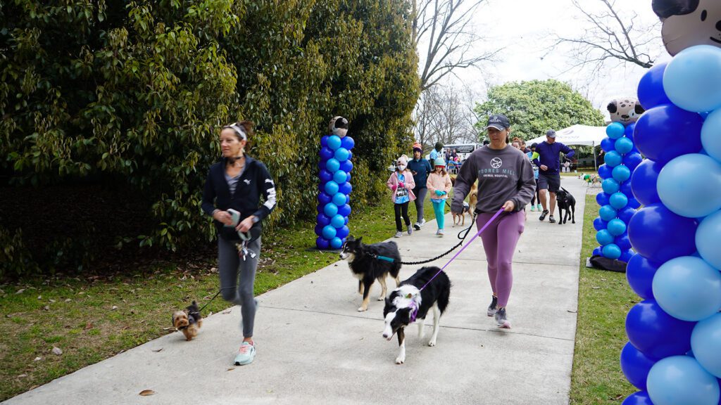 Auburn Parks and Recreation: March 2026 Happenings