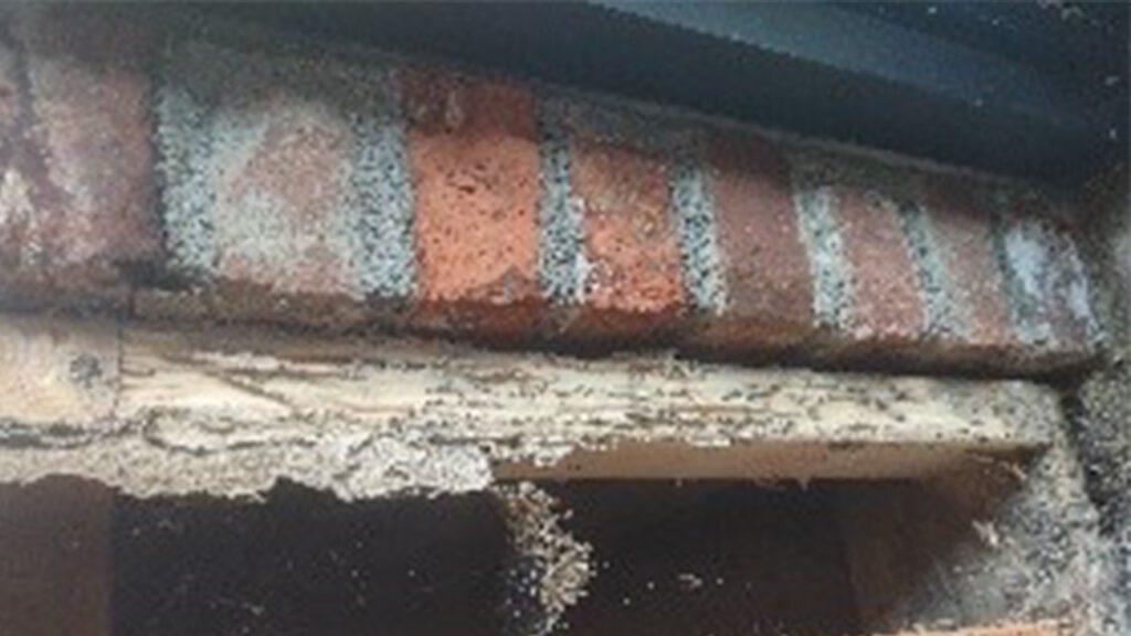The Seen and Unseen Pests