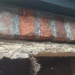 The Seen and Unseen Pests